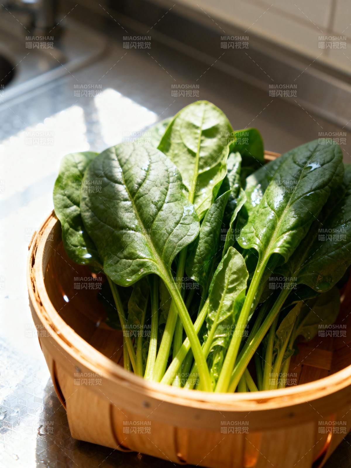 新鲜菠菜篮中盛图片