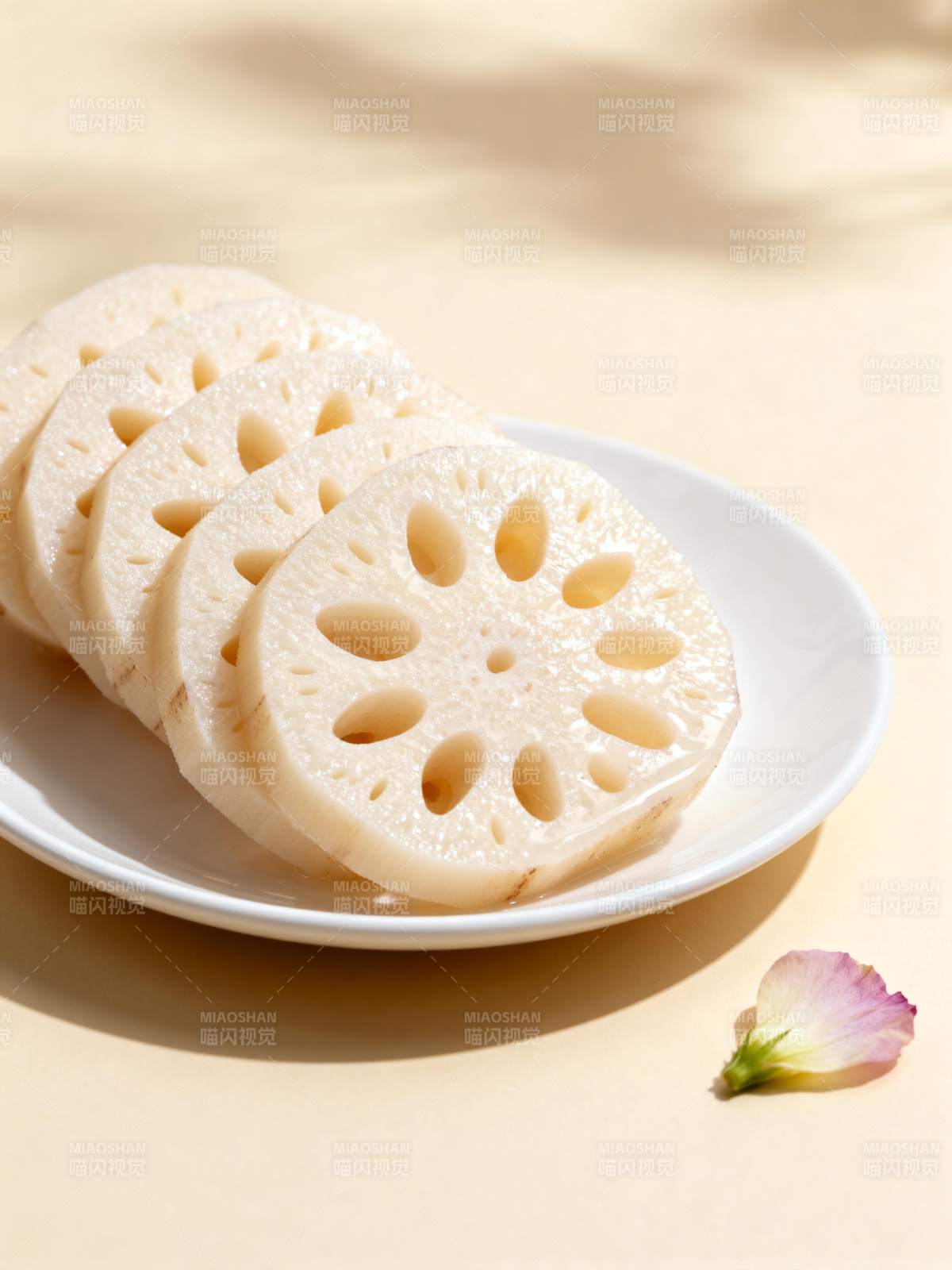 莲藕切片 清新自然图片