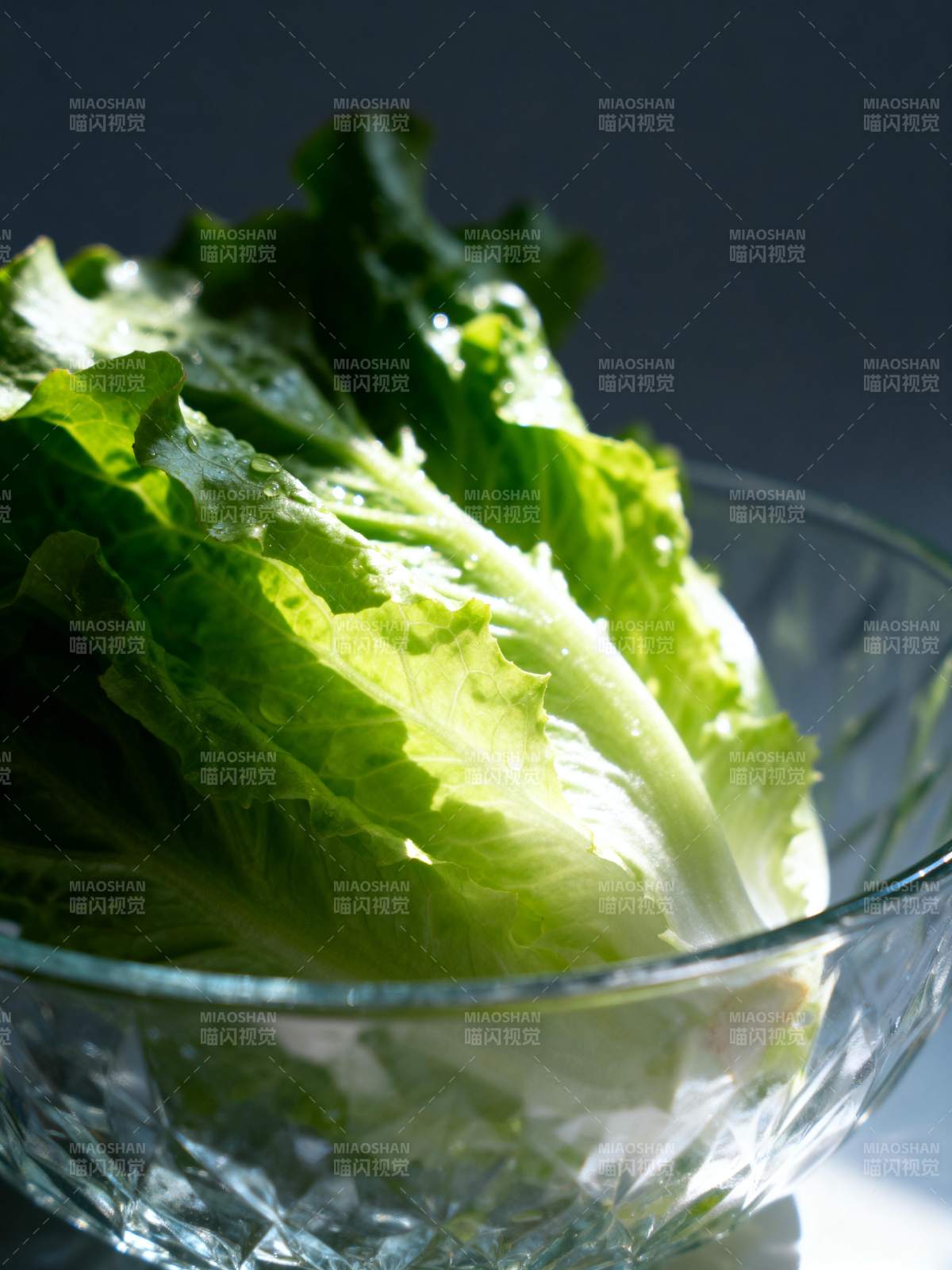 清脆生菜 晶莹剔透图片