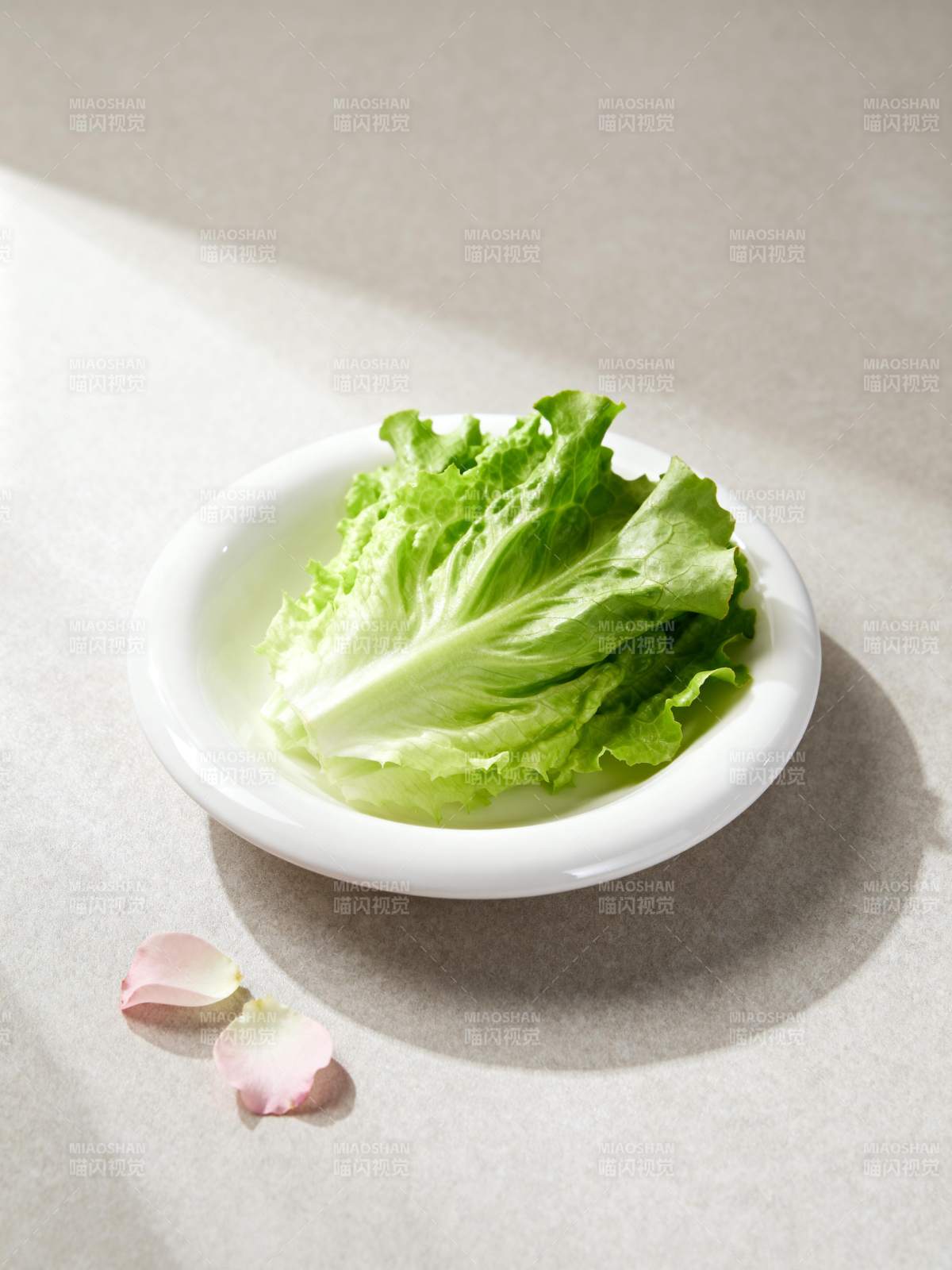 清雅生菜盘图片