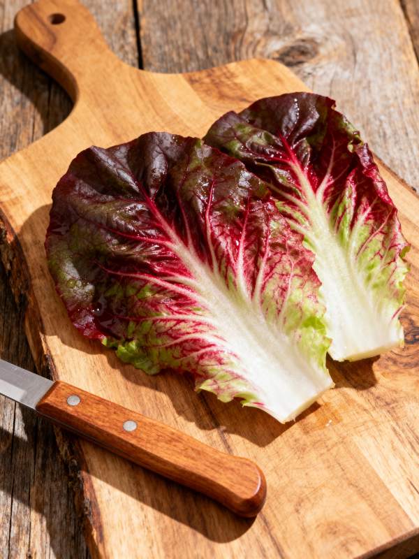 红叶生菜切片图片