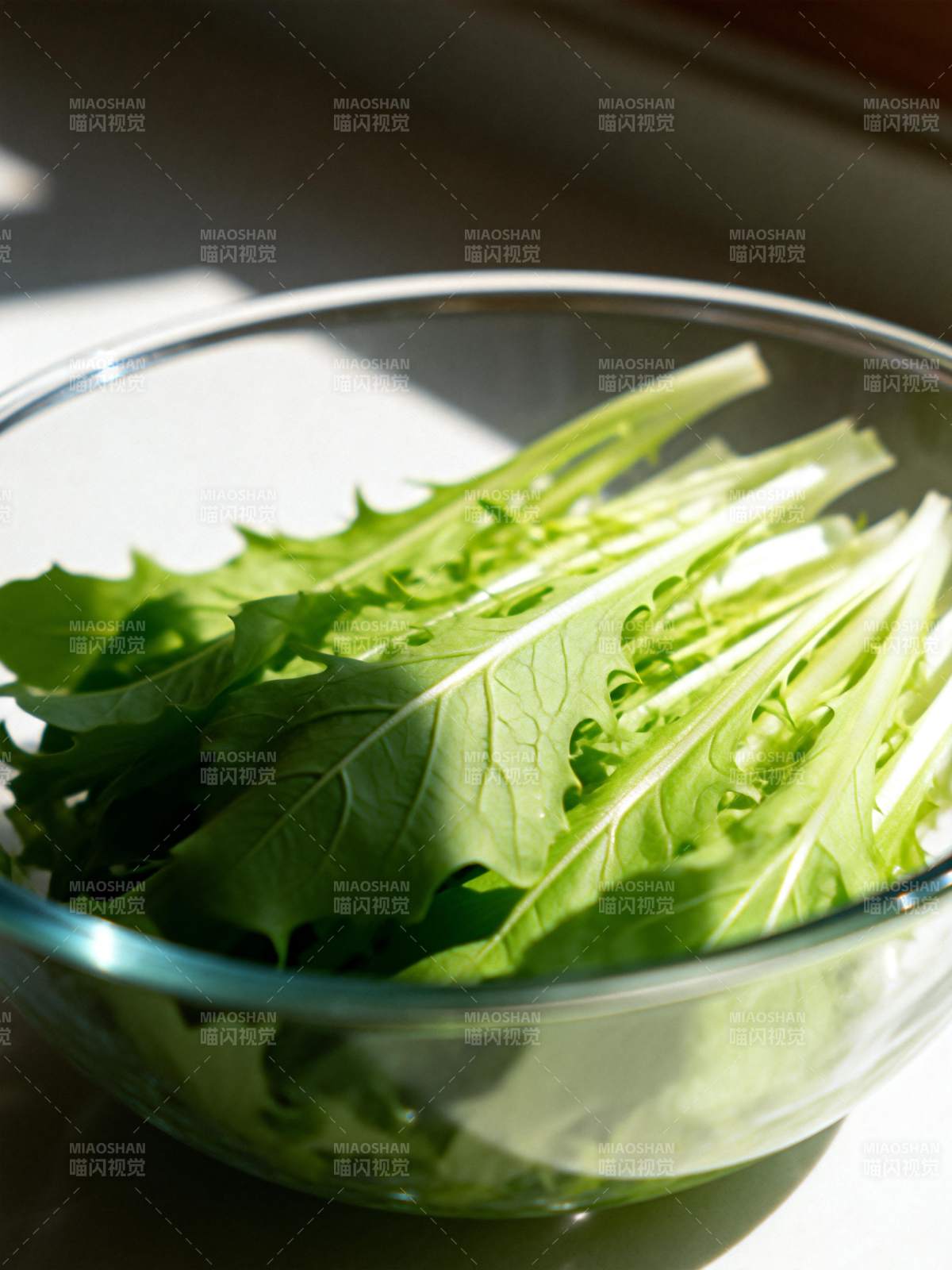 新鲜生菜叶图片