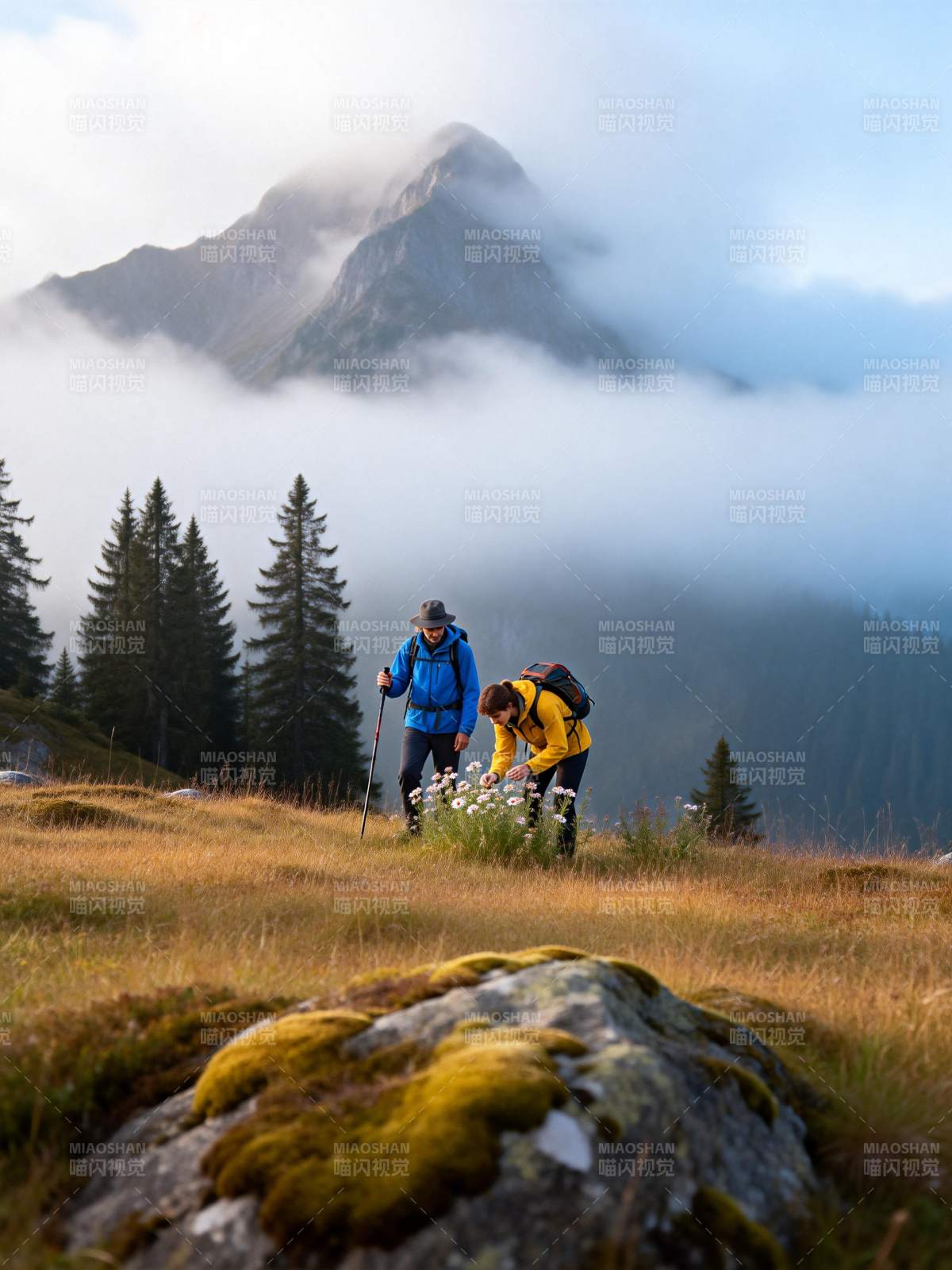 山间徒步赏花图片