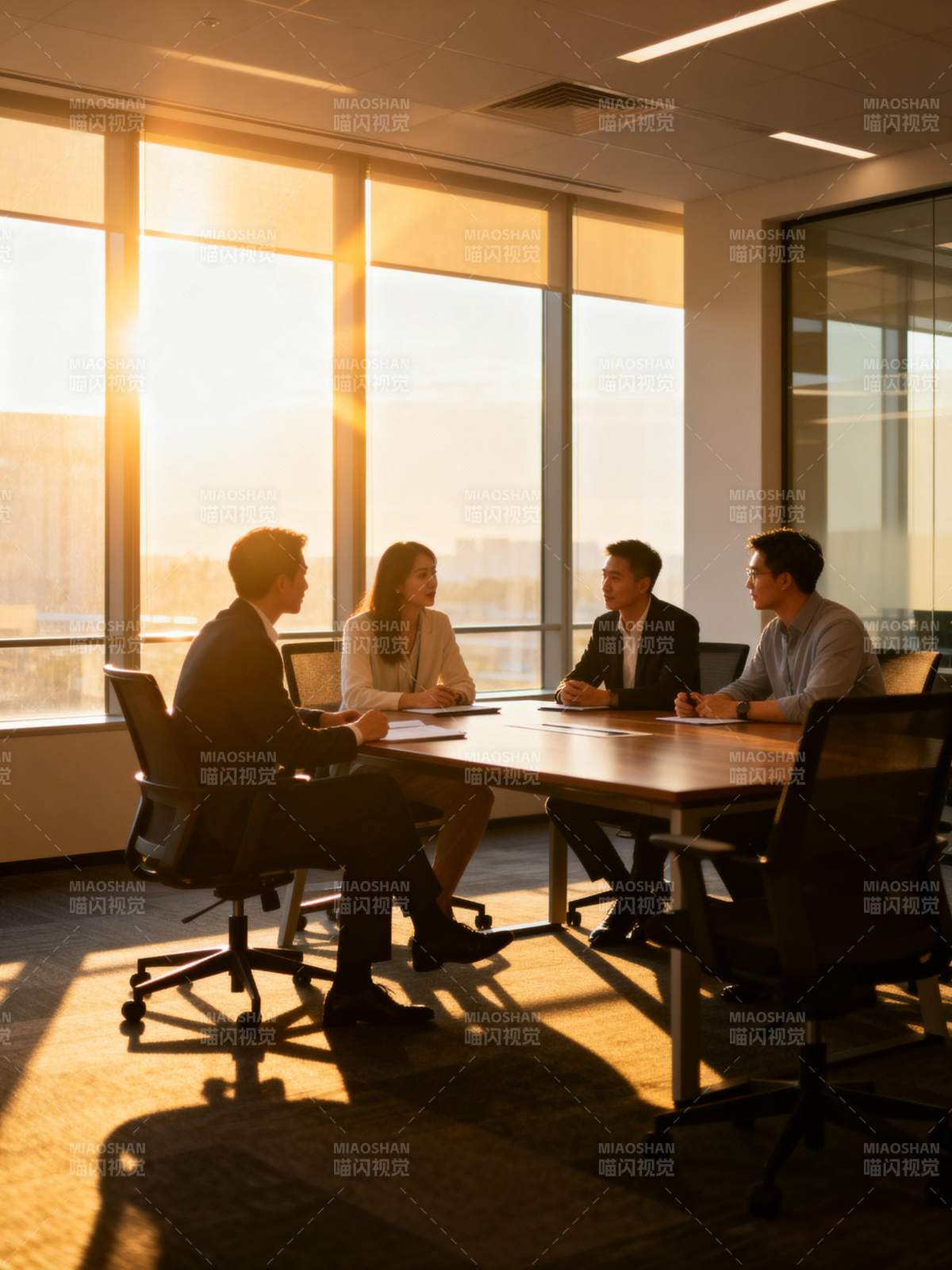 阳光下的商务会议图片