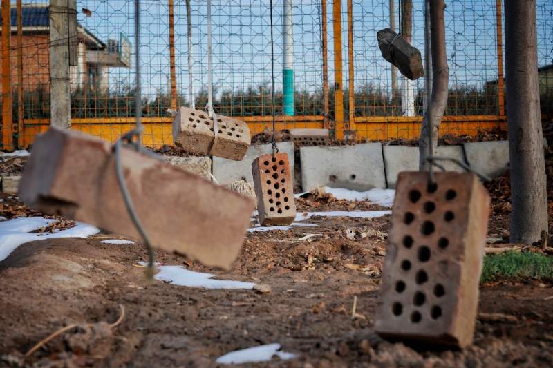 砖块散落园中图片