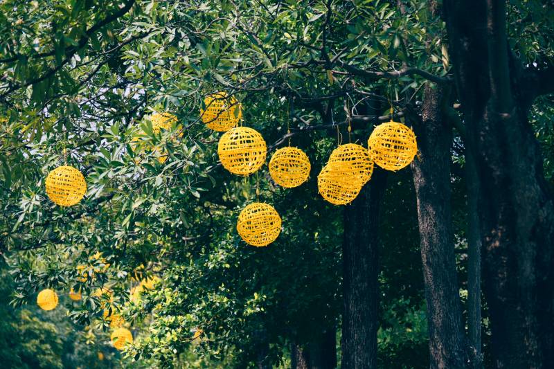 树间黄灯闪烁图片