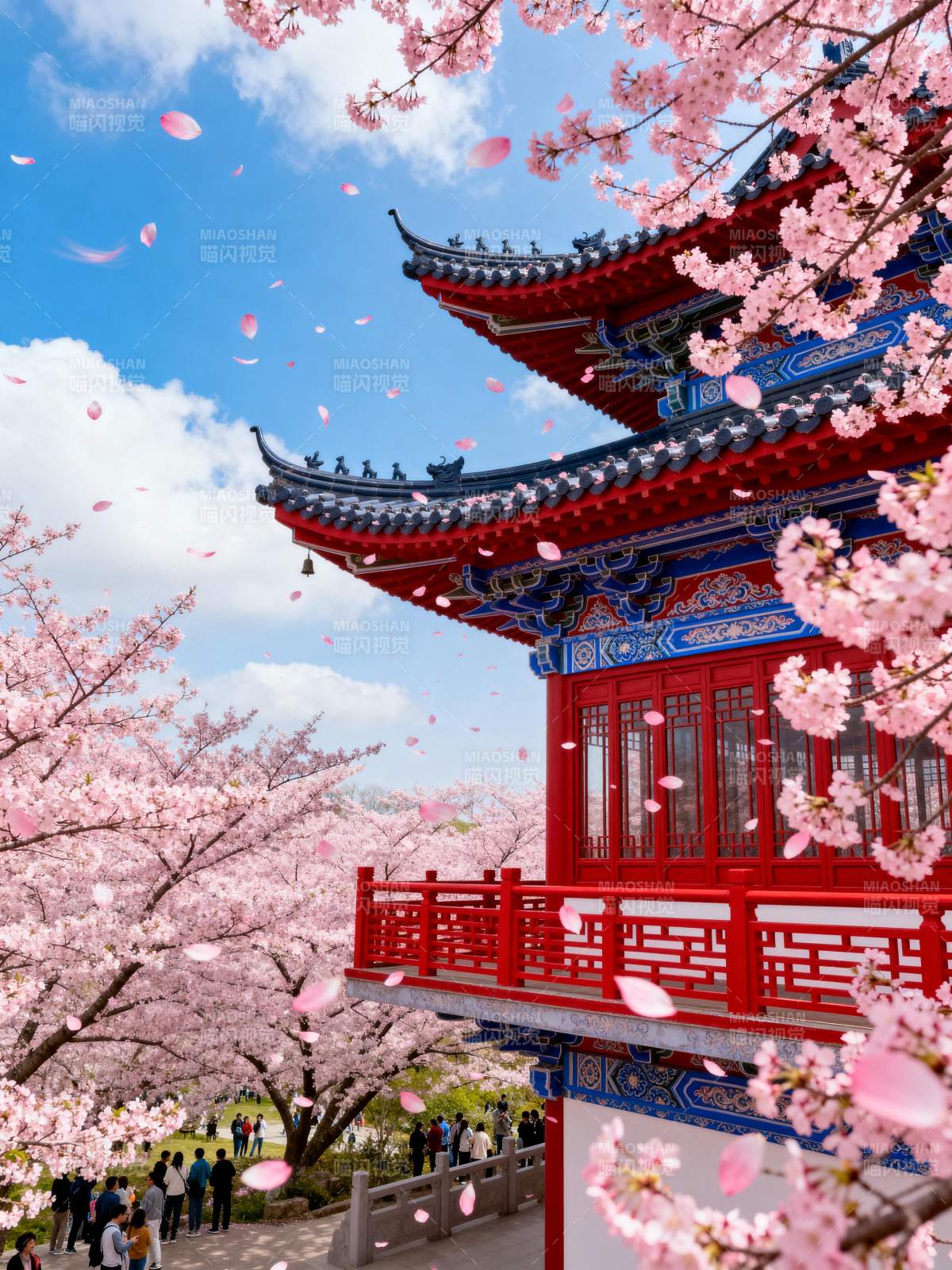 樱花映古亭图片