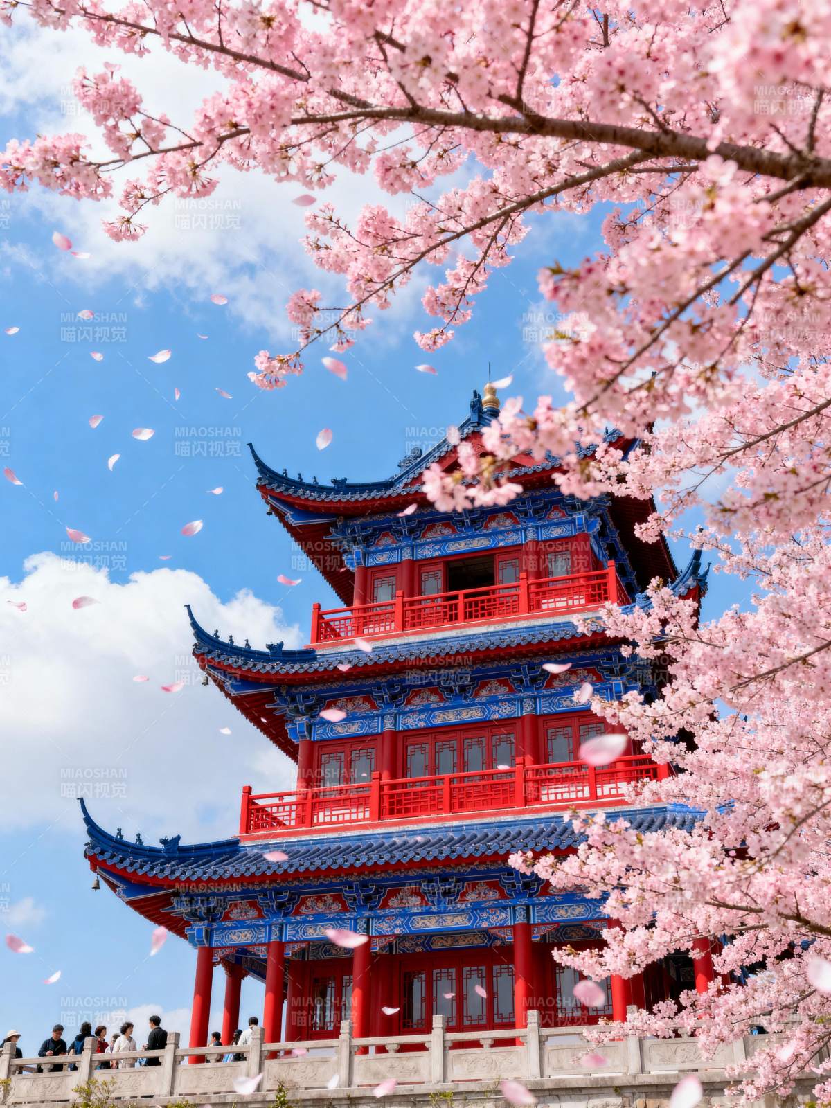 樱花映古塔图片