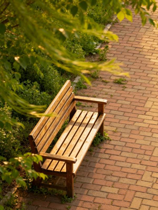 公园长椅静谧景图片