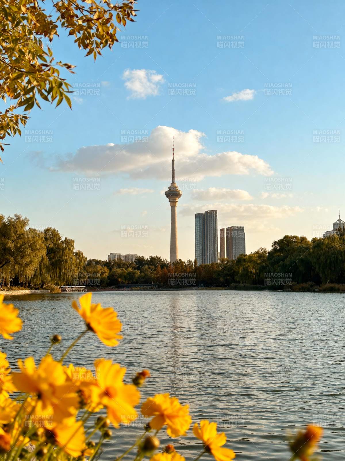 秋湖塔影图片
