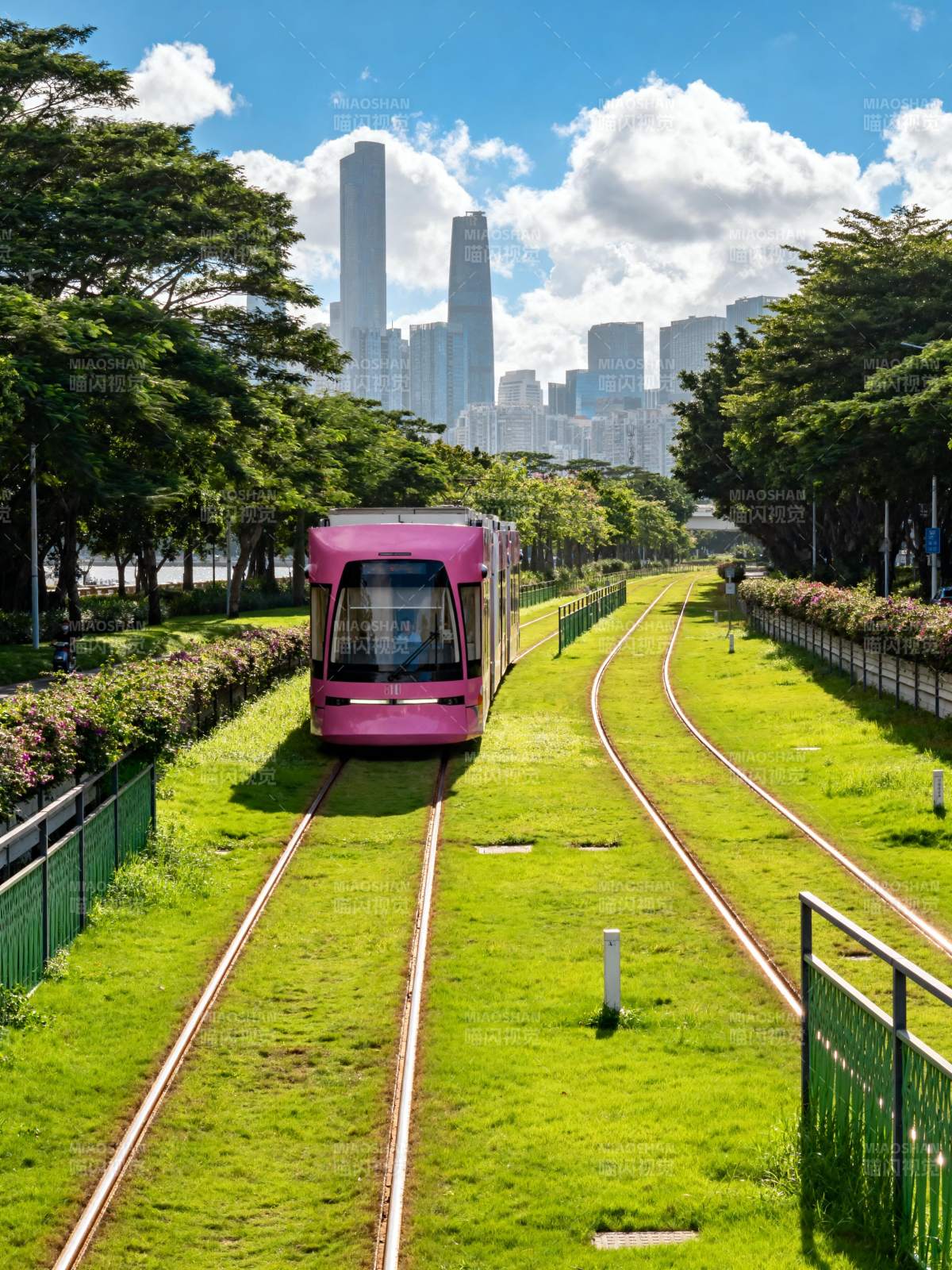粉色电车穿行绿道图片