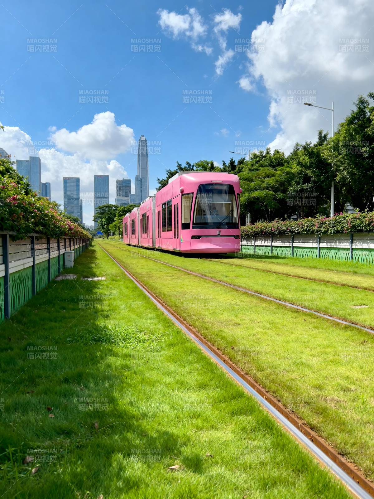 粉色电车穿行绿野图片