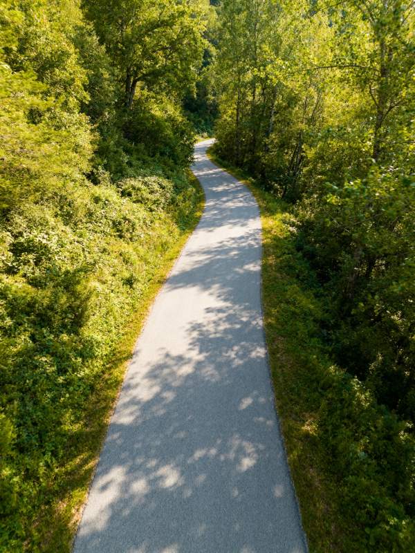 林间小径蜿蜒前行图片