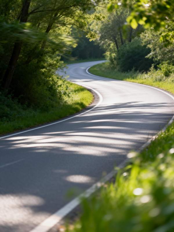 林间蜿蜒小路图片