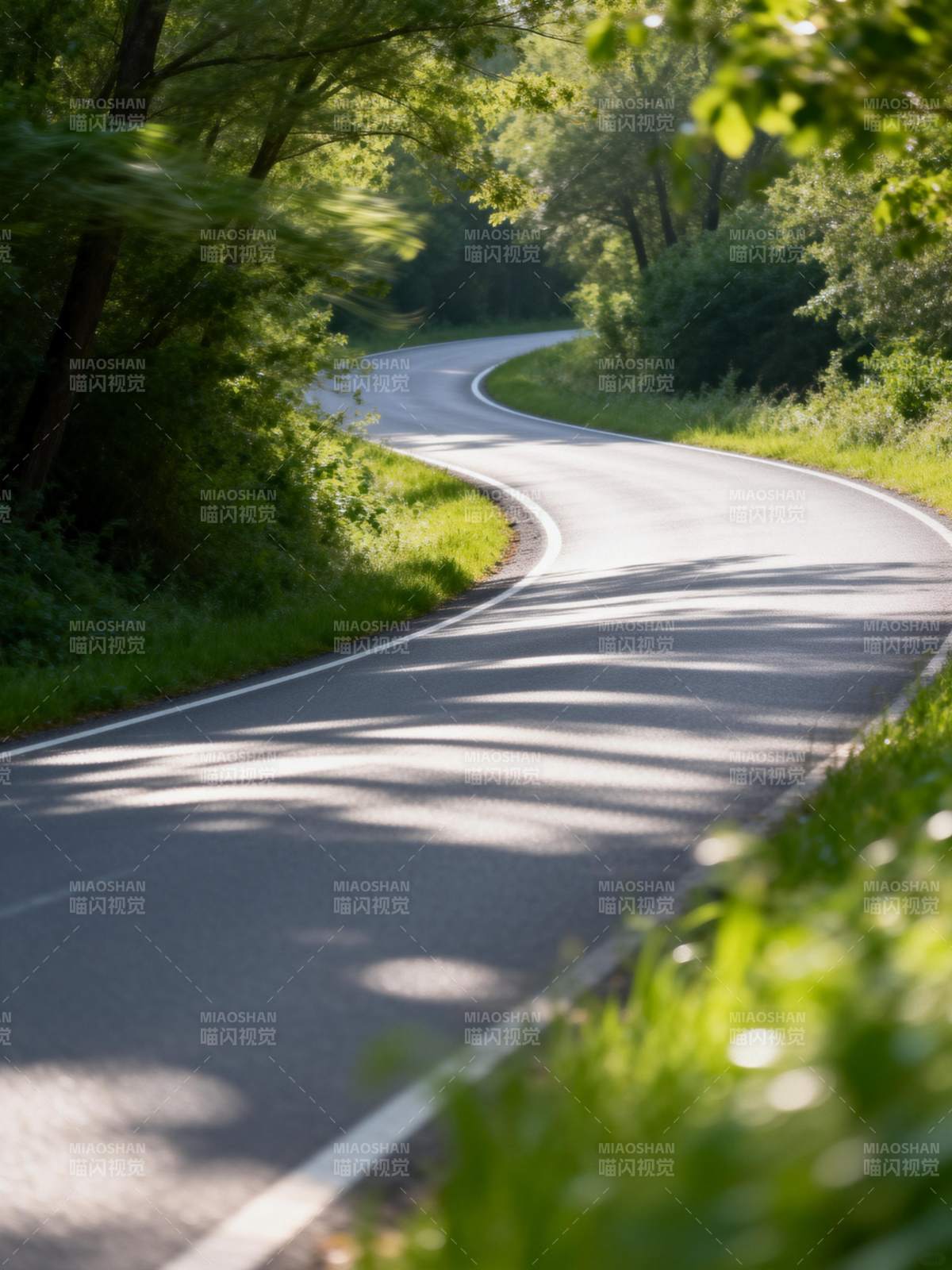 林间蜿蜒小路图片
