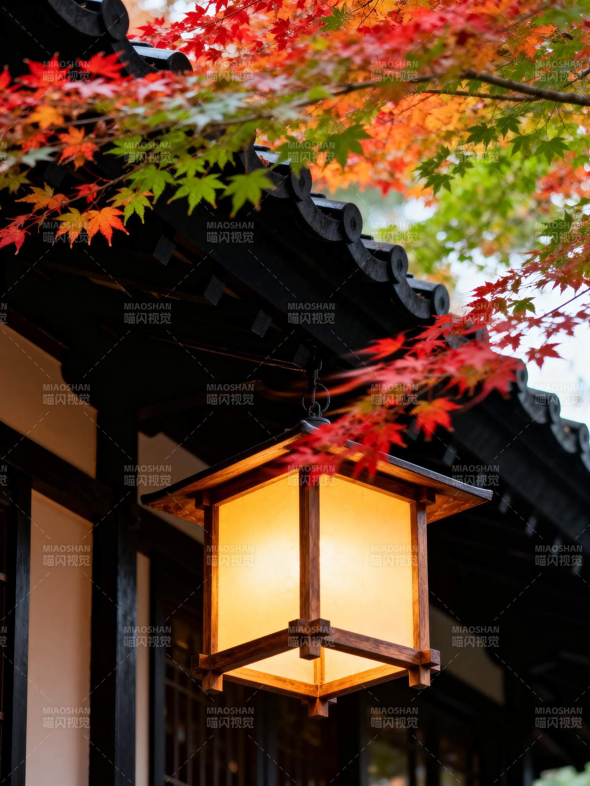 秋灯映枫 古韵悠然图片