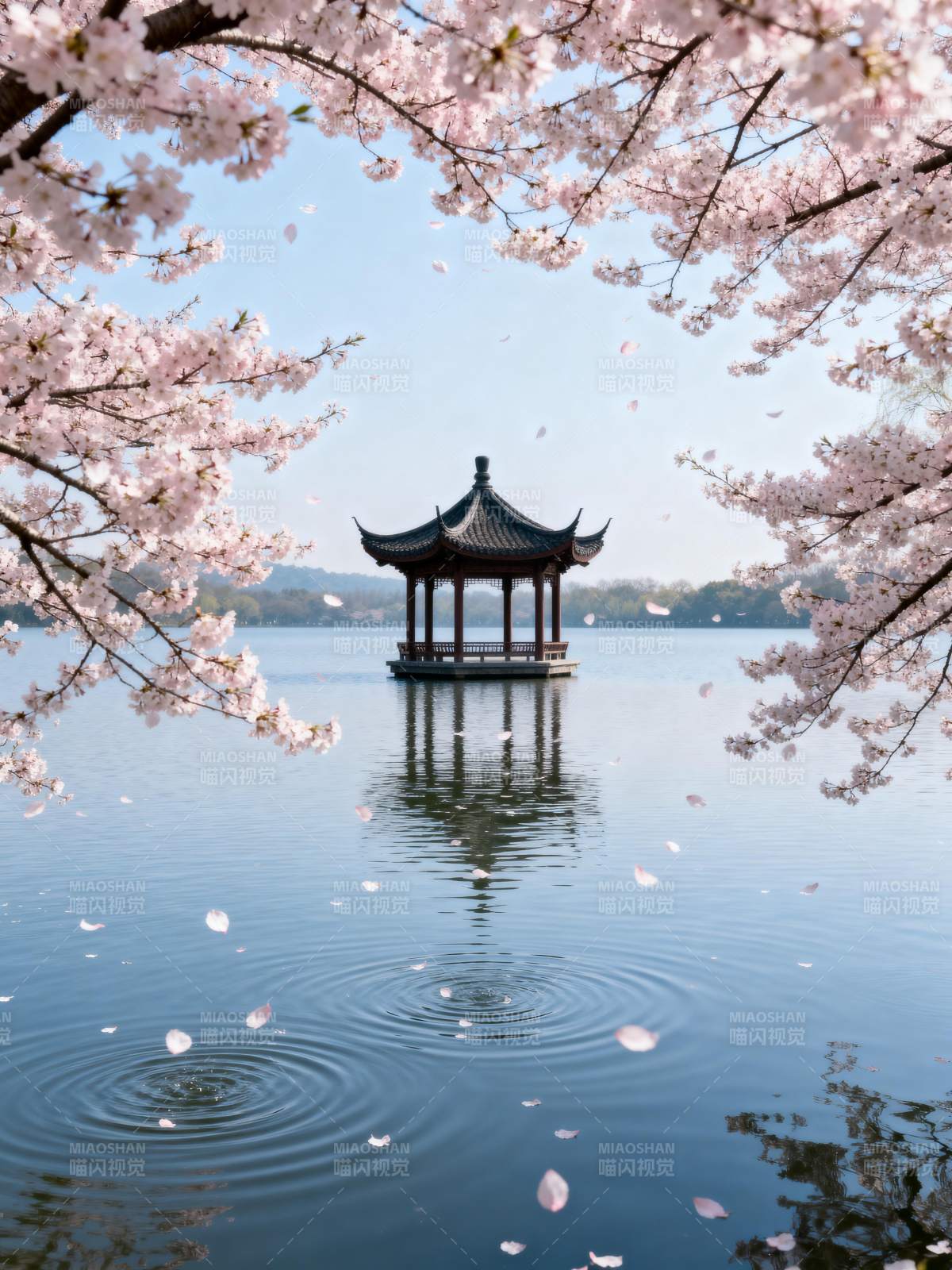 樱花亭影湖中图片