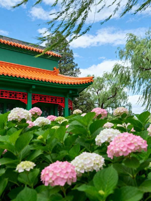 花影亭台春意浓图片