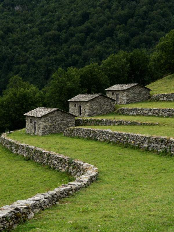 山间石屋梯田景图片