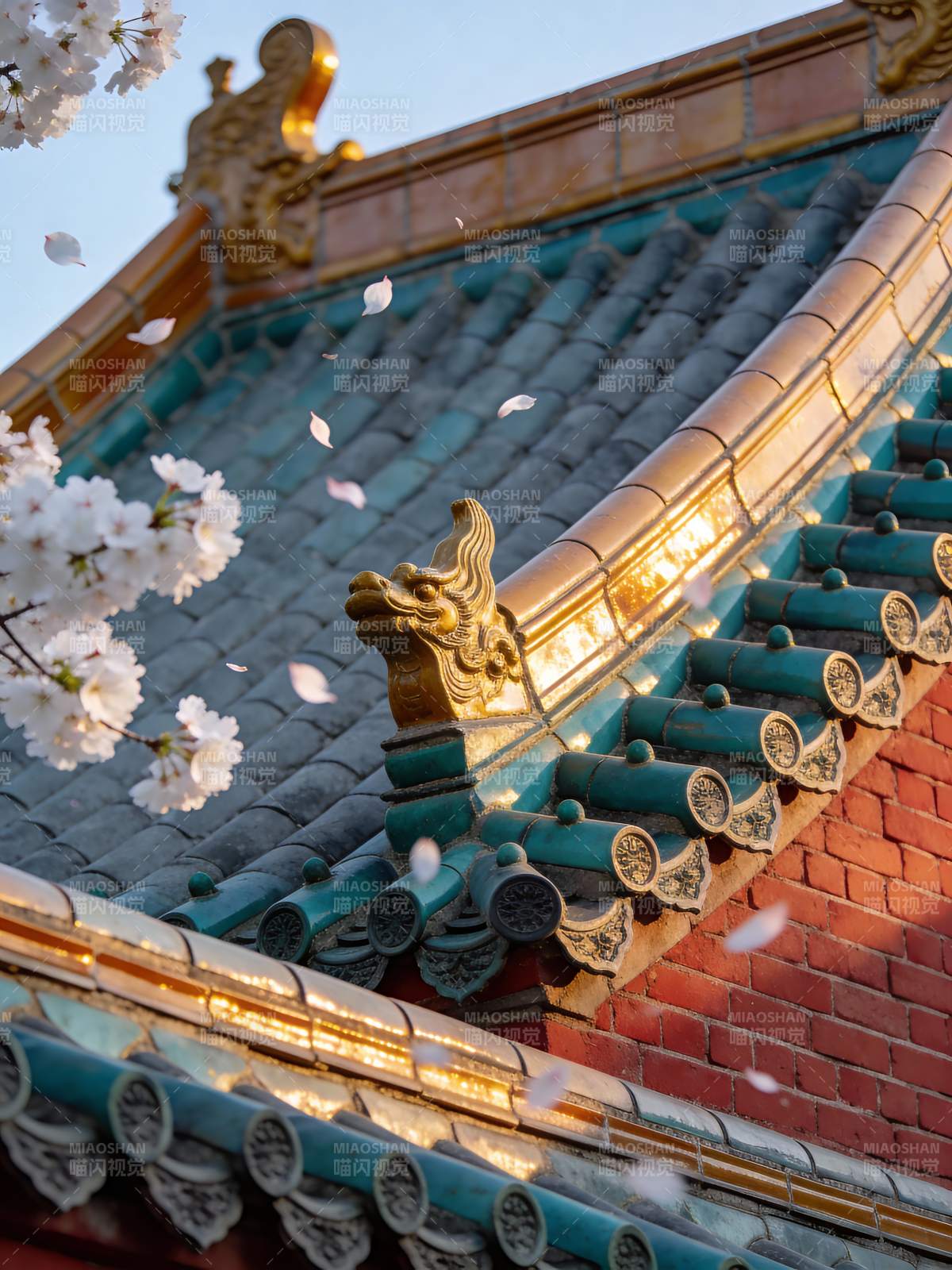 飞檐樱花共舞图片