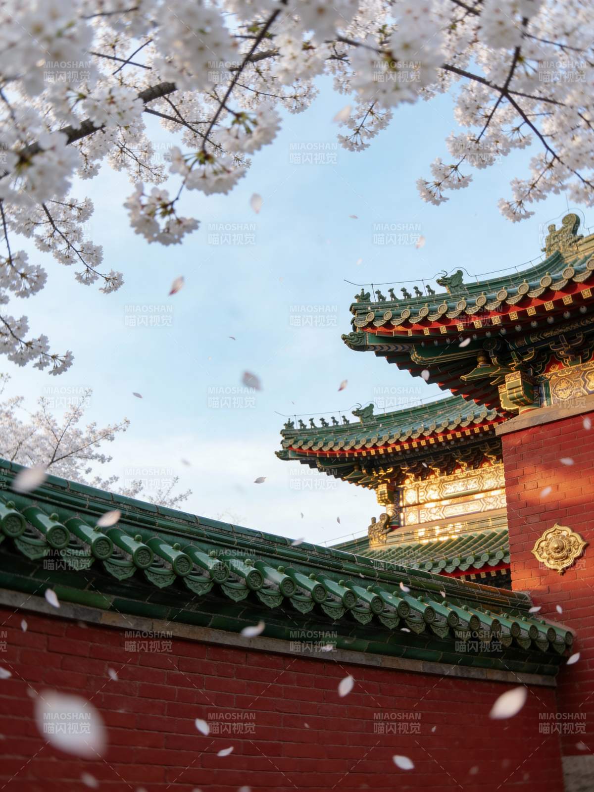 樱花飞舞古建筑图片