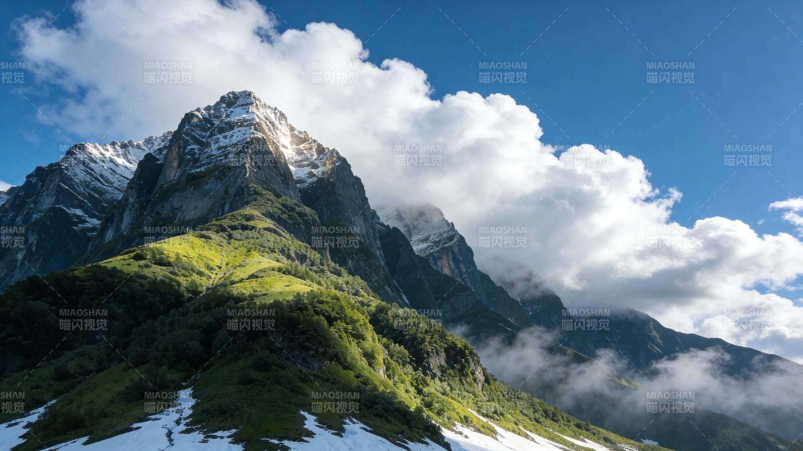 雪山云海 绿意盎然图片