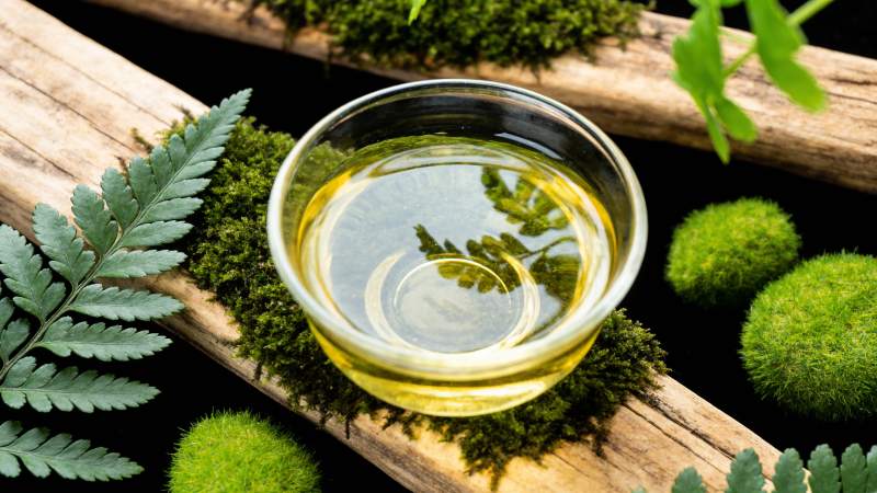 草本精油静谧之美图片