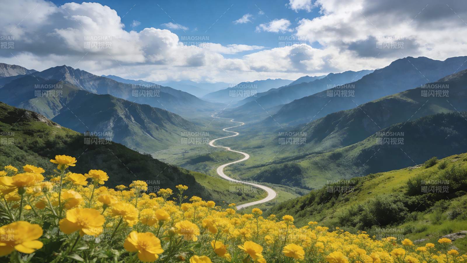 山间花海公路图片