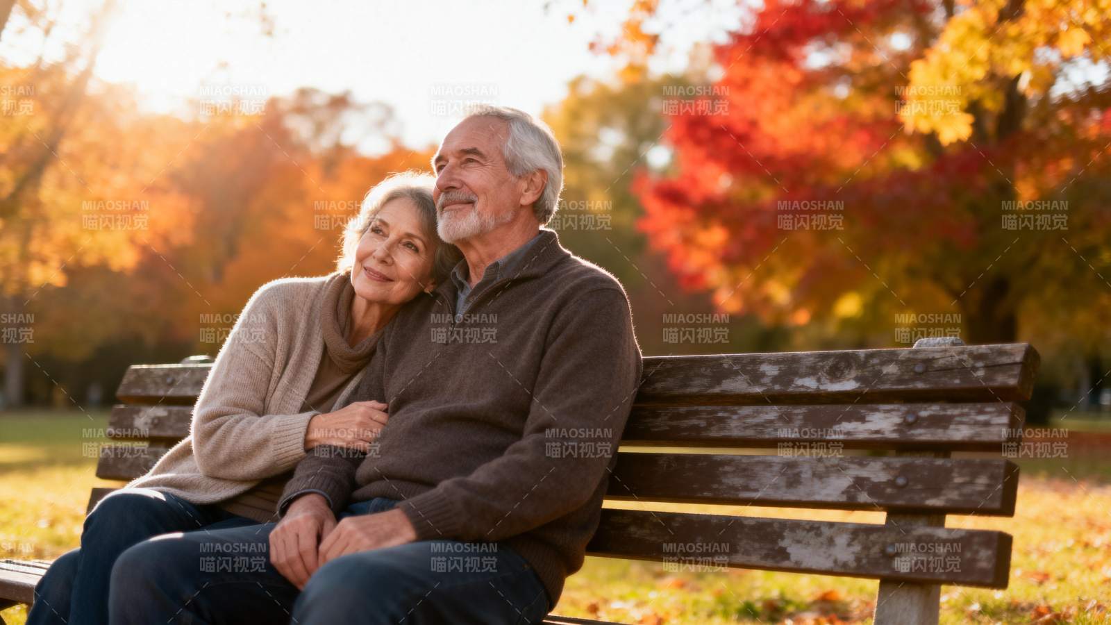 秋日公园里的温馨时光图片