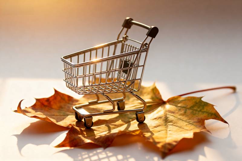 秋叶上的购物车图片