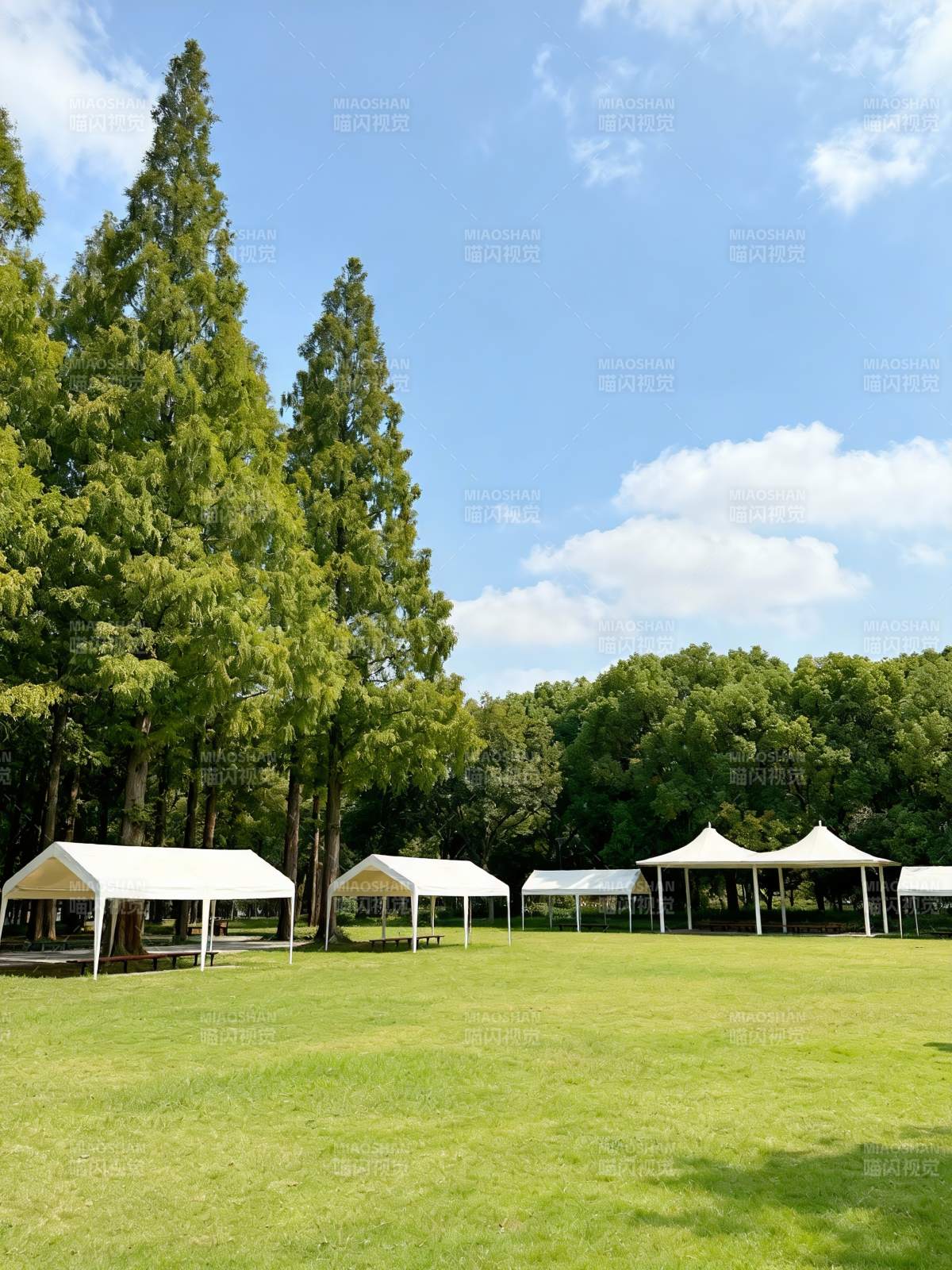 绿茵帐篷林间景图片