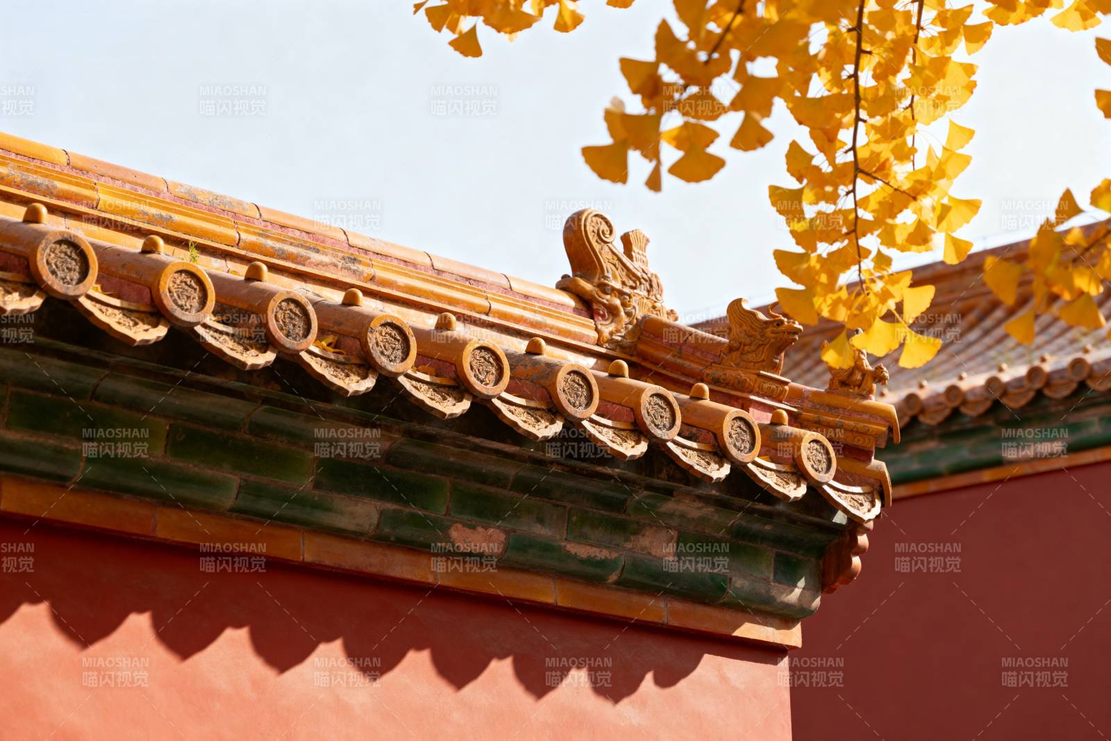秋叶映古檐图片