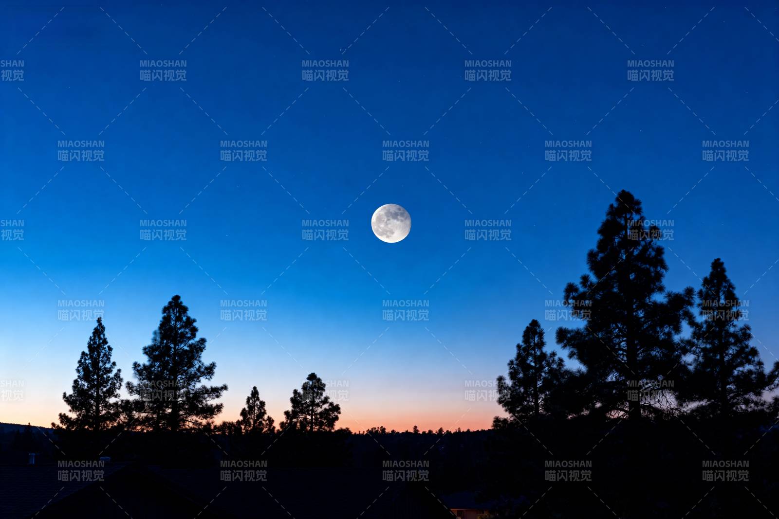 月升林梢图片
