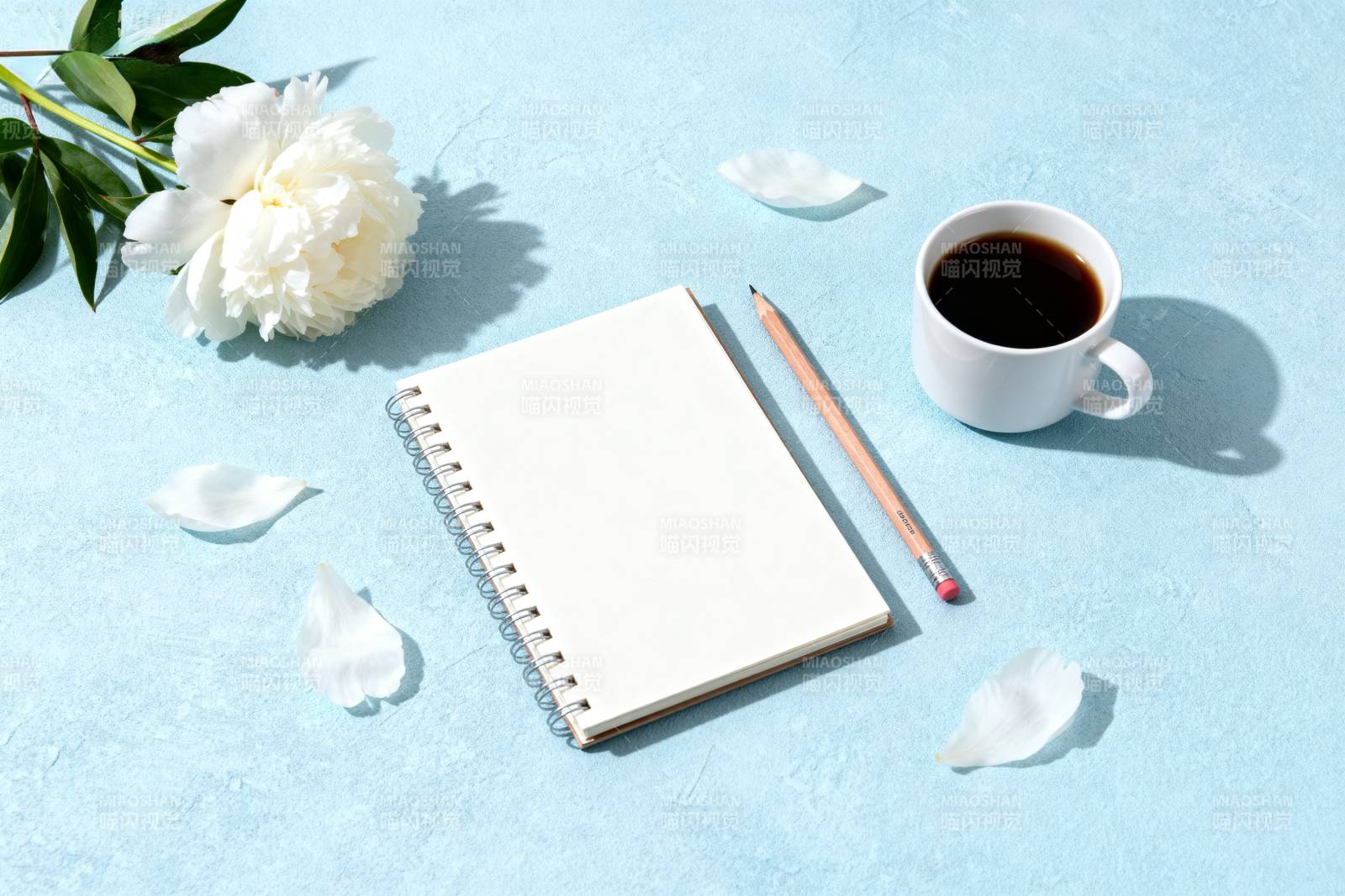 静谧时光 笔墨生香图片