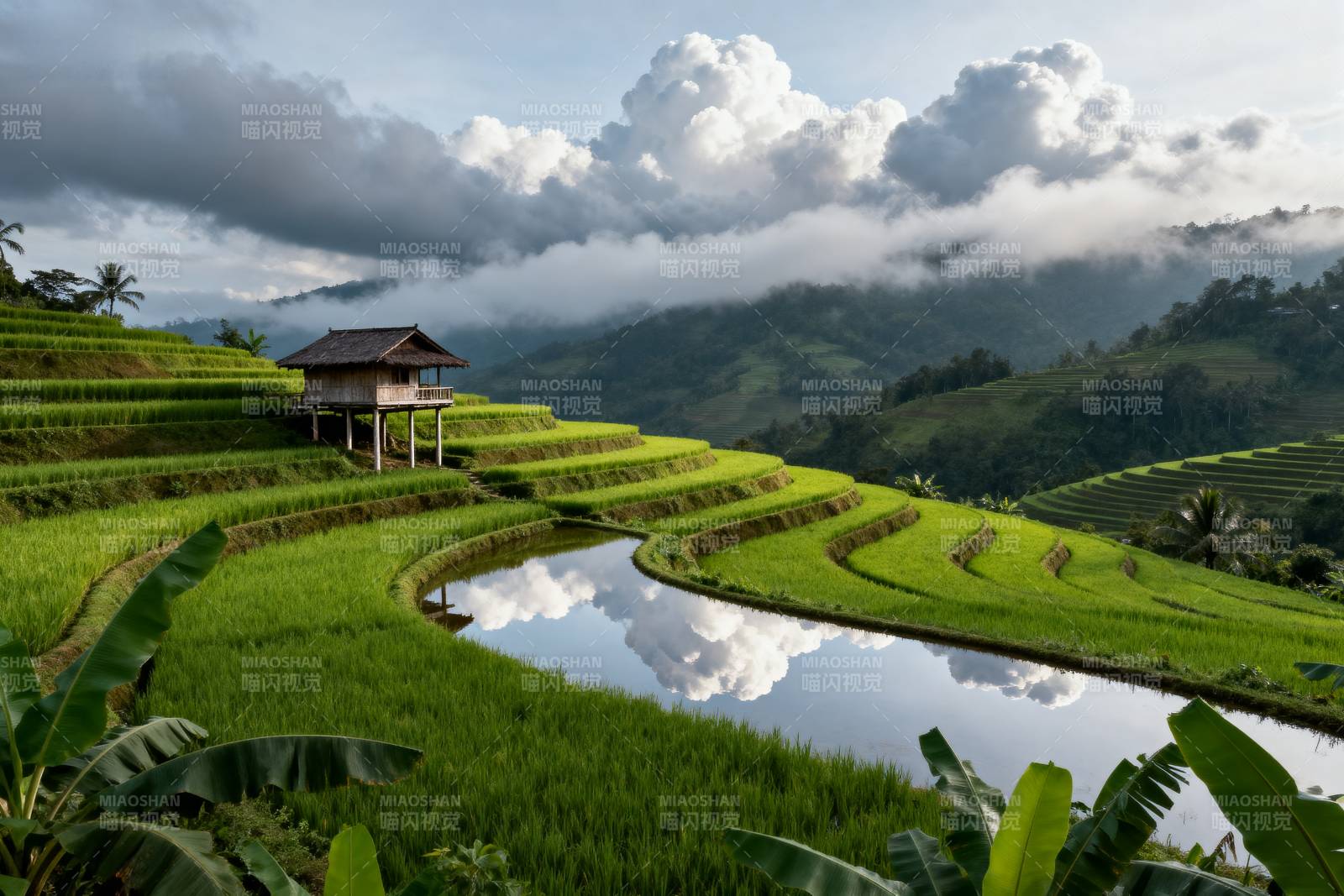 梯田云影图片