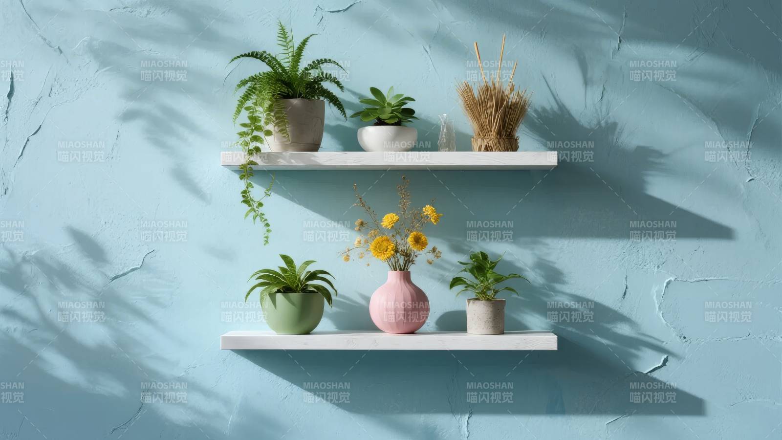 绿植墙饰 清新自然图片