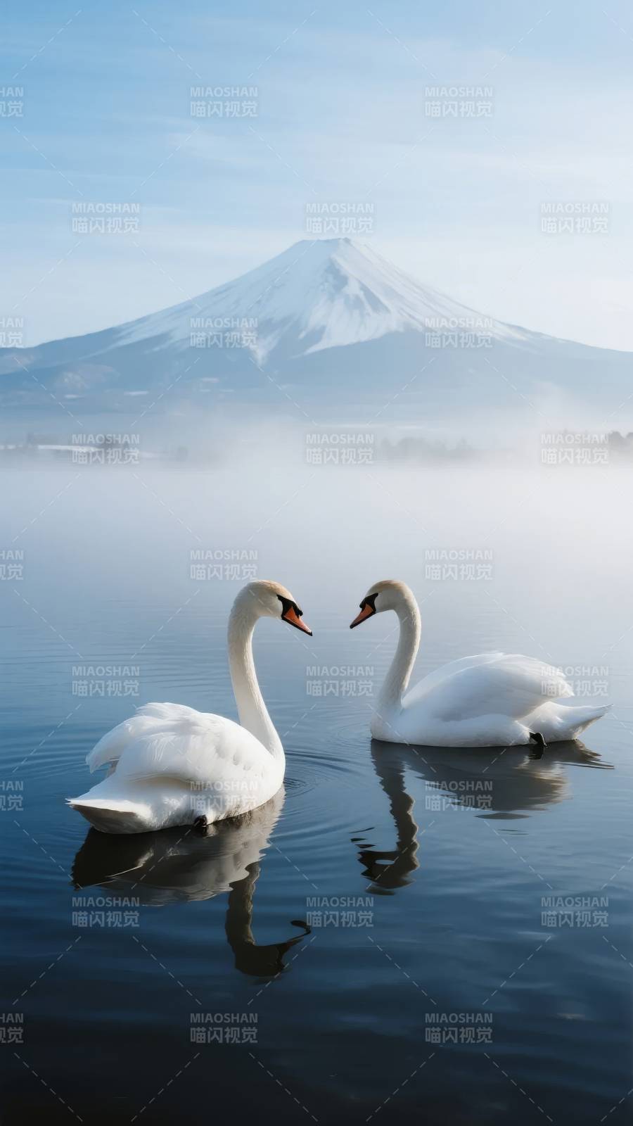 天鹅恋富士山图片