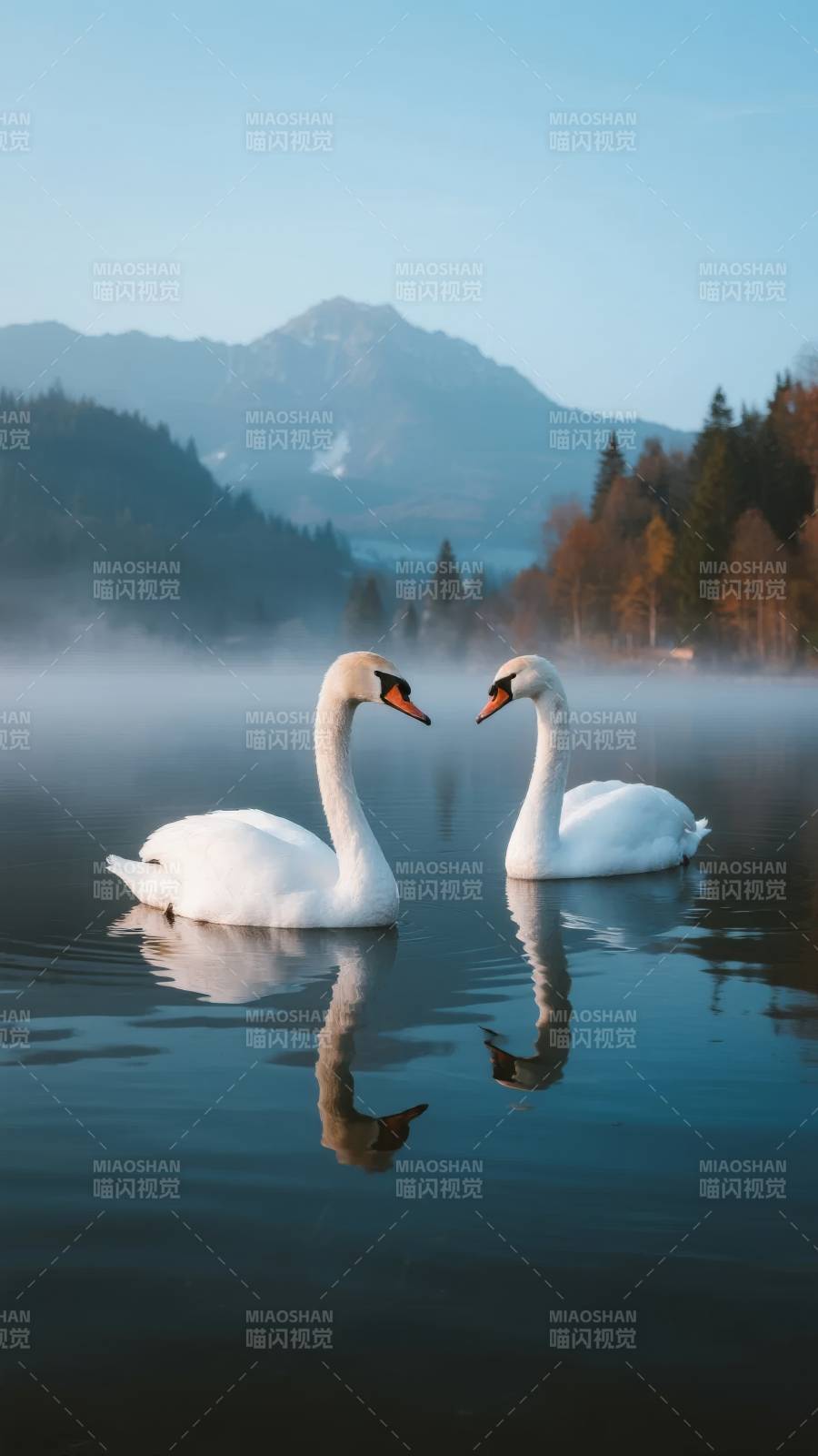 湖畔双鹅映山影图片