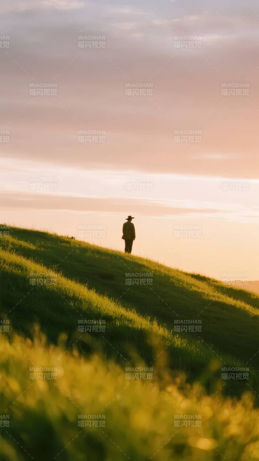 孤影行于黄昏草坡图片
