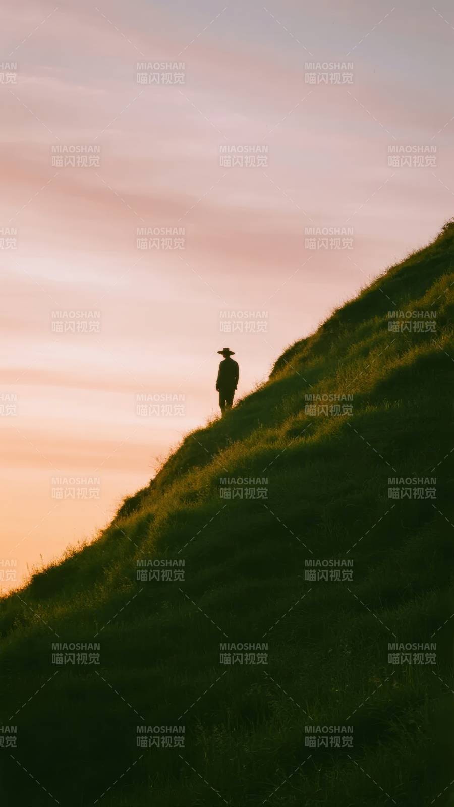 黄昏坡上独行客图片