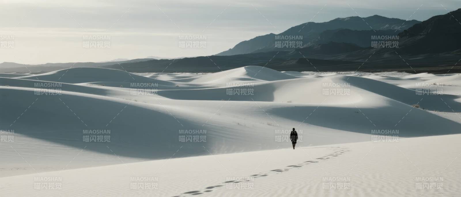 孤影踏雪行图片