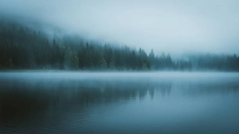 雾锁湖山静图片