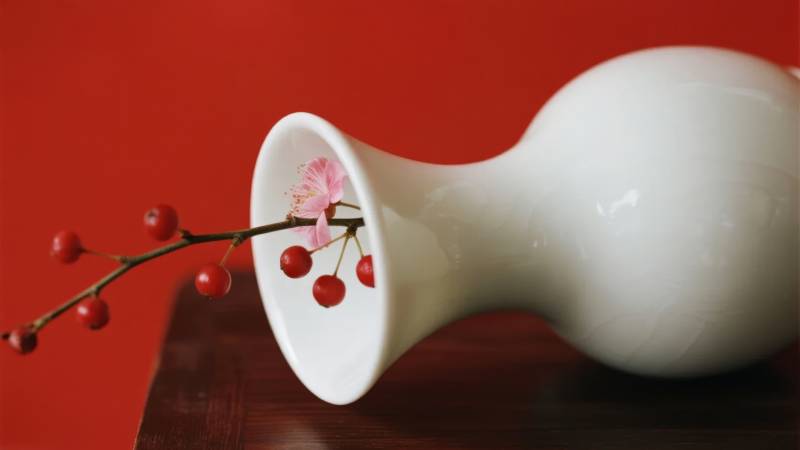 红梅映白瓶图片