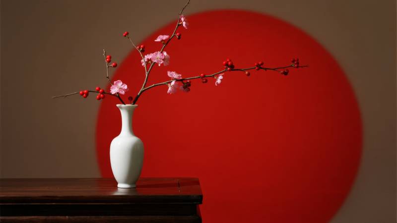 红梅映日静谧美图片