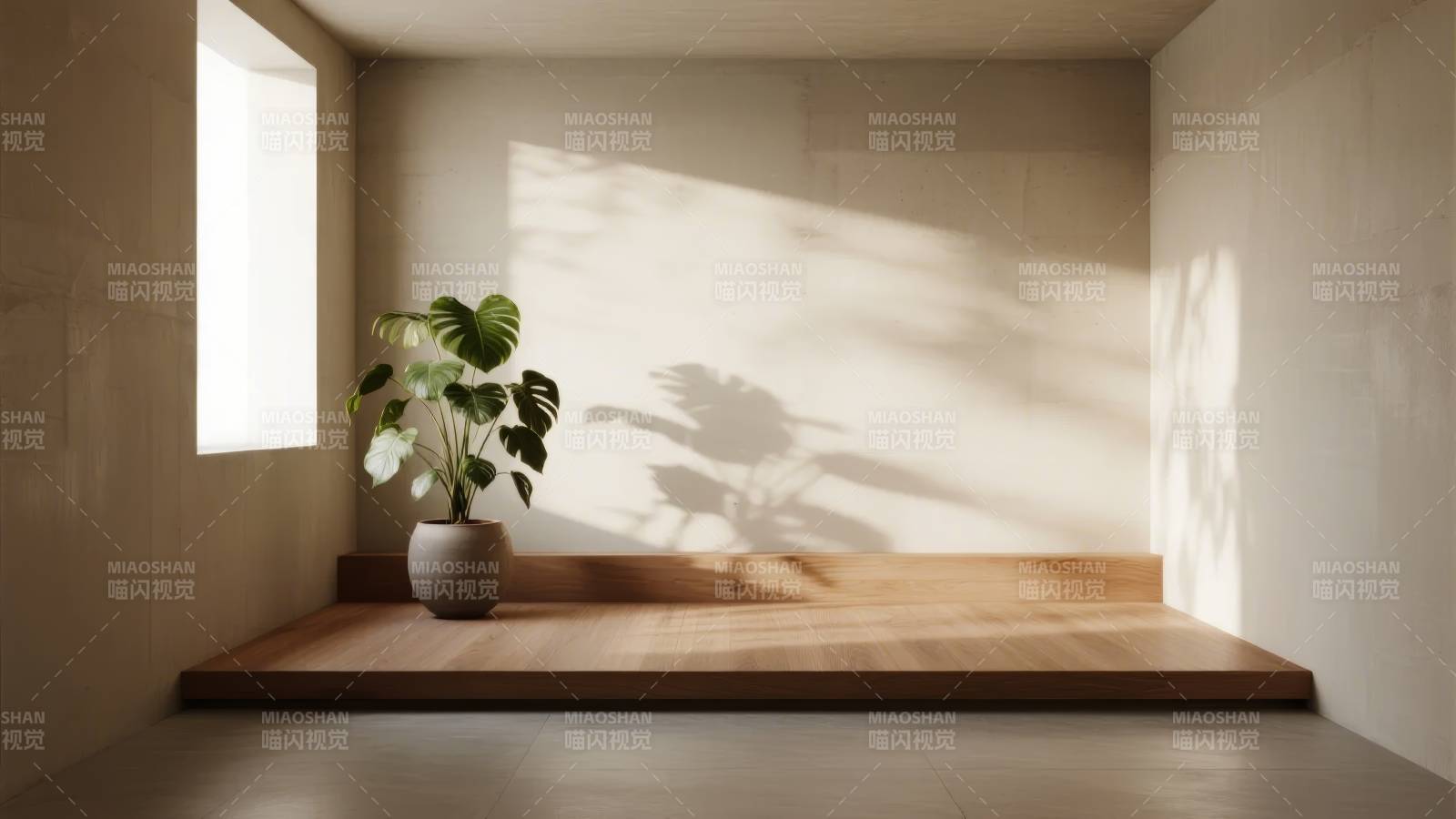 光影中的绿植静谧图片