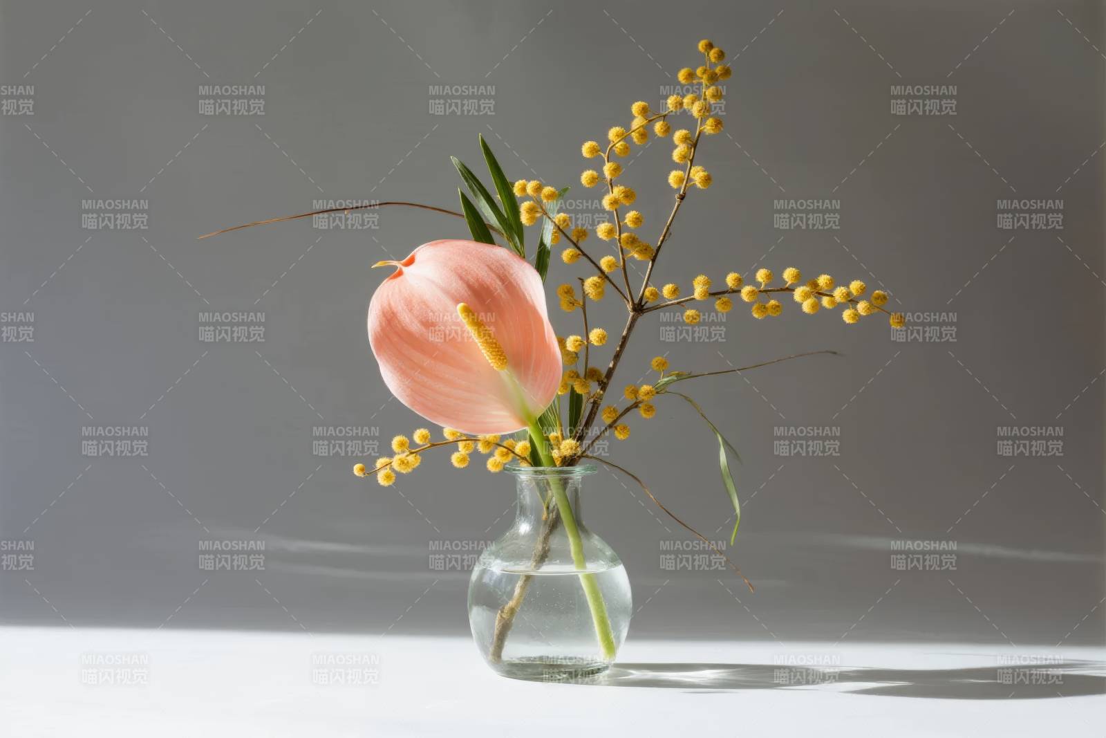 花瓶中的静谧之美图片