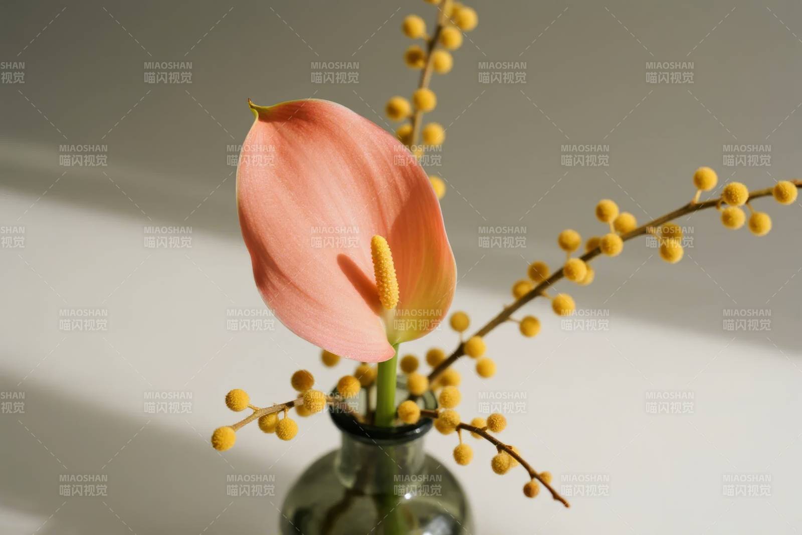 粉花黄果静物图片