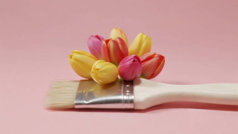 画笔上的郁金香图片