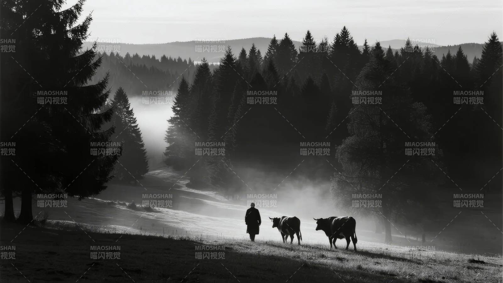雾中牧牛图图片