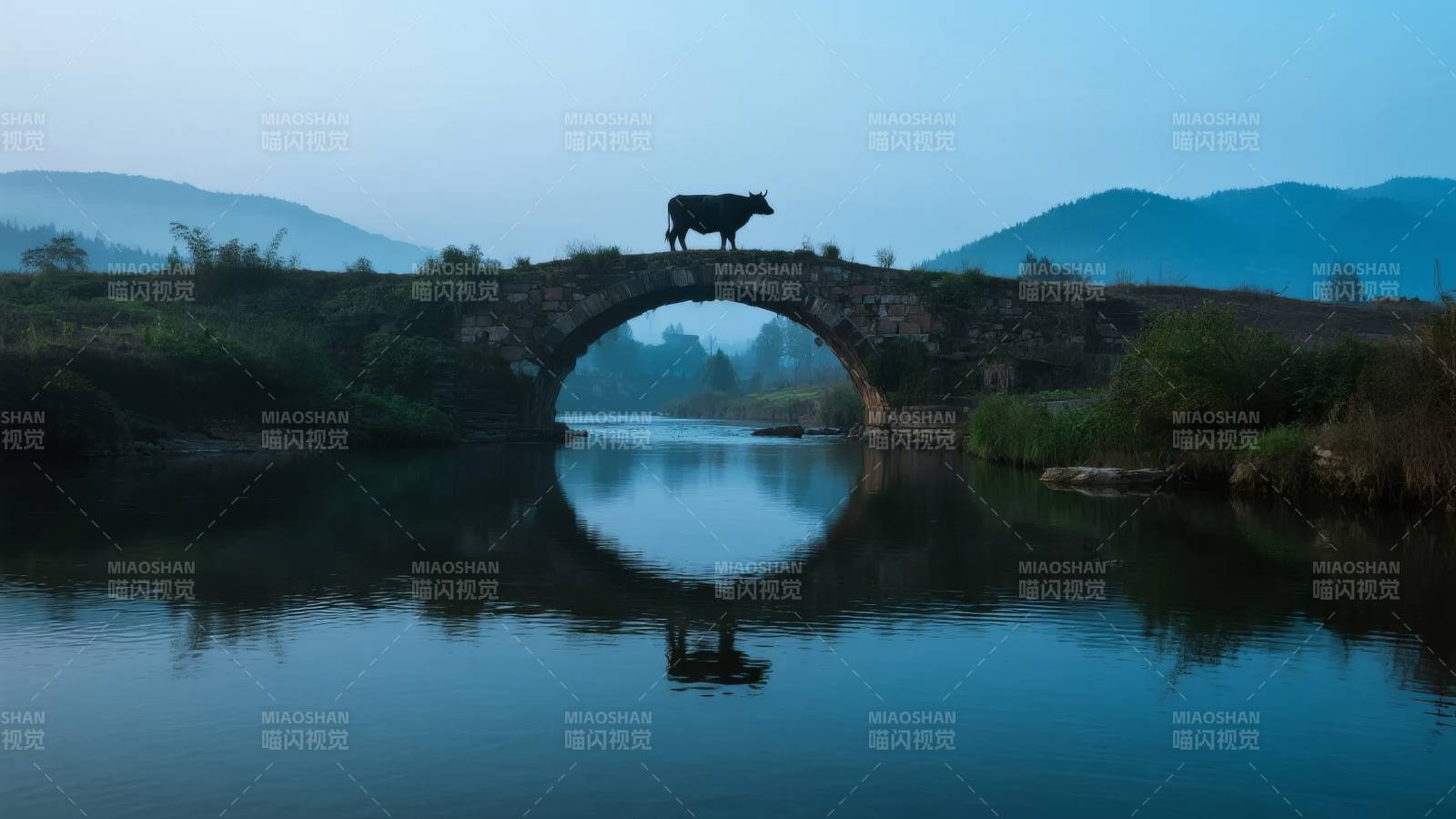 桥上牛影映水中图片